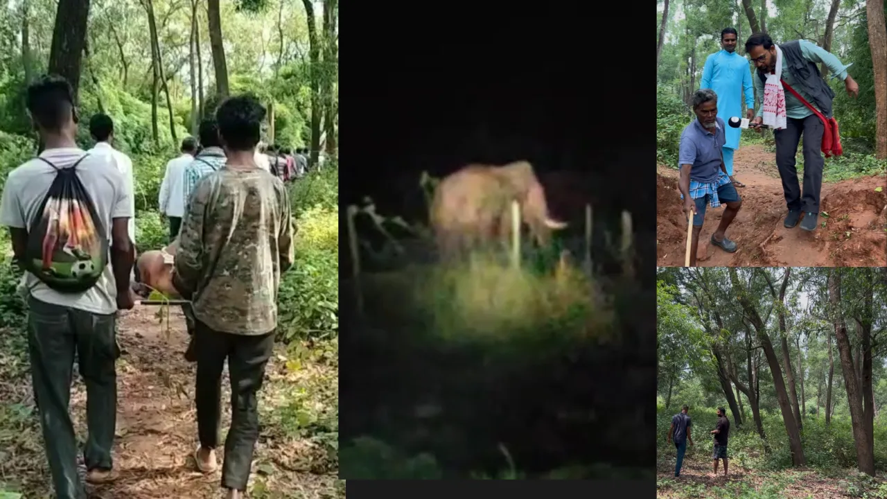हज़ारीबाग़ में हाथी के हमले से एक युवक की गई जान  मुन्ना सिंह ने थामा परिजनों का हाथ,   मुआवज़ा दिलाने में निभाई सक्रिय भूमिका